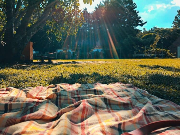 qué comida llevar a un picnic